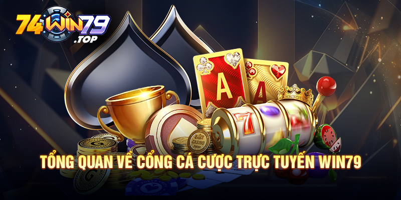 Tổng quan về cổng cá cược trực tuyến Win79